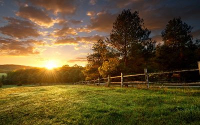 Comprar uma fazenda: dicas importantes para um bom negócio